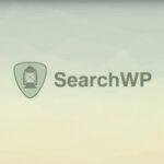 SearchWP - Русификация премиум плагина