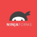 Ninja Forms - Русификация премиум плагина