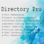 Directory Pro - Русификация премиум плагина