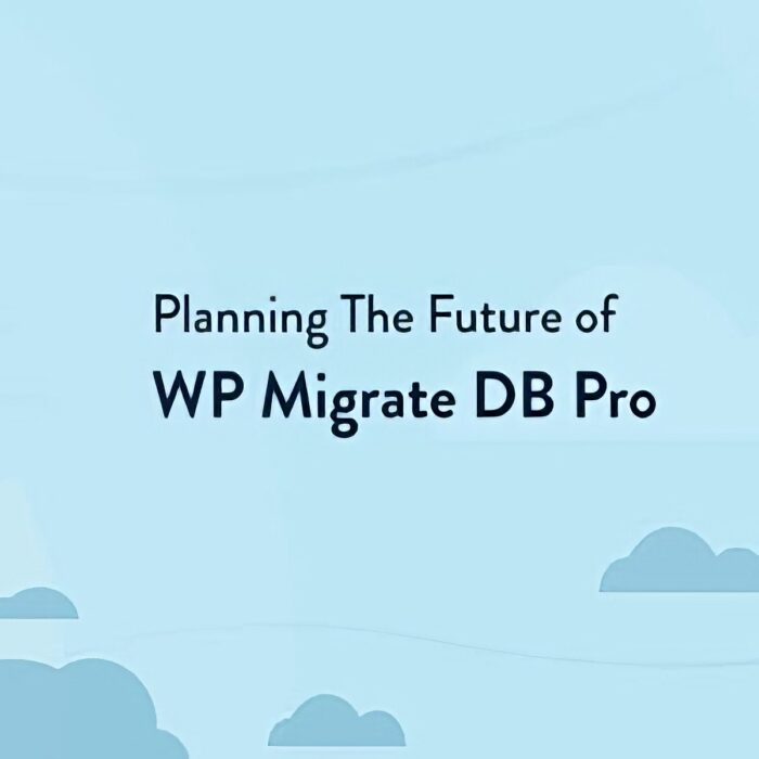 WP Migrate DB Pro Pack - Русификация премиум плагина