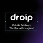 Droip - Русификация премиум плагина