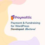 Paymattic Pro - Русификация премиум плагина