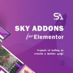 Sky Addons - Русификация премиум плагина