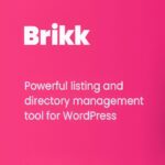 Brikk - Русификация премиум темы