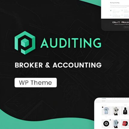 Auditing - Русификация премиум темы